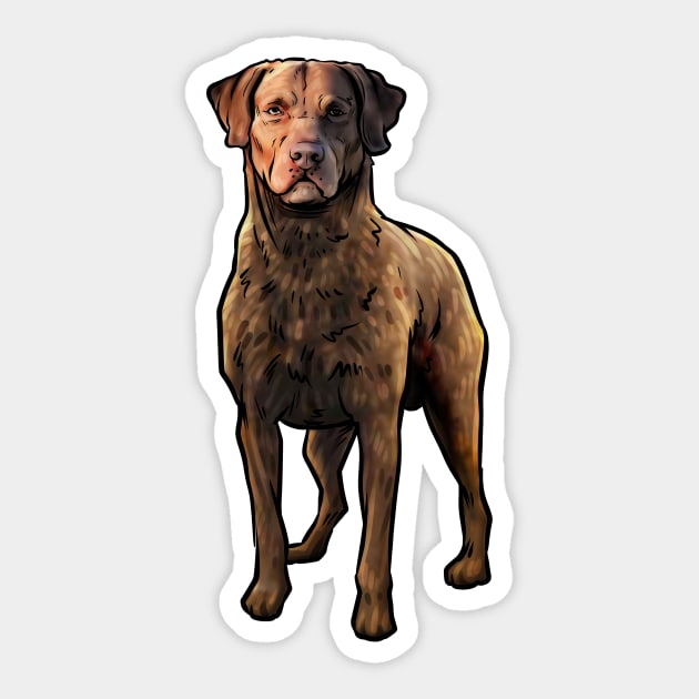 Chesapeake Bay Retriever Dog Sticker by whyitsme